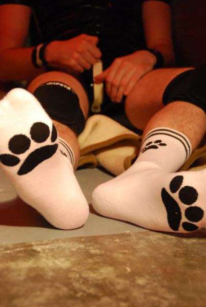 Sk8erboy PUPPY Socks - White