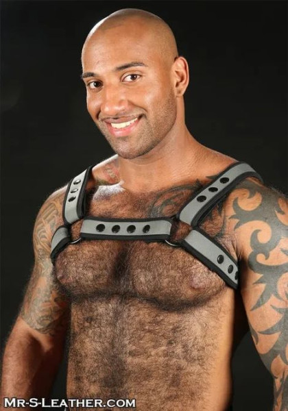 MR. S - NEO BOLD COLOR BULLDOG HARNESS