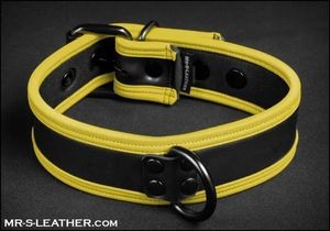 MR. S - Neo Bold Color Puppy Collar - Yellow