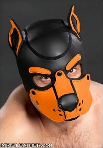 MR. S - Neoprene K9 Hood - Orange