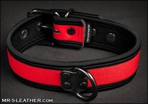 MR. S - Neo Bold Color Puppy Collar - Red