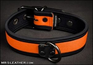 MR. S - Neo Bold Color Puppy Collar - Orange